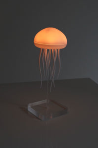LED Cute Jellyfish Night Light